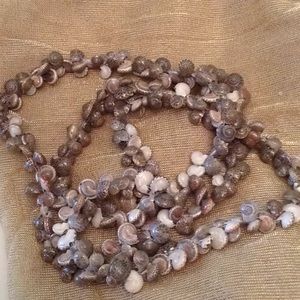 Natural shells long necklace NEW